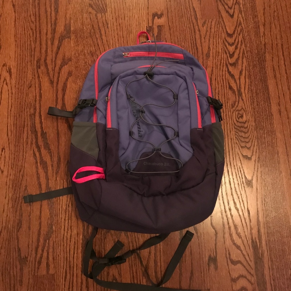 Patagonia Backpack
